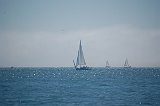 DSC 6578