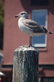 DSC 6587