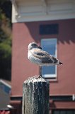 DSC 6588