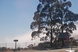 DSC 6593