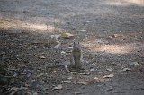 DSC 6770