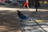 DSC 6788