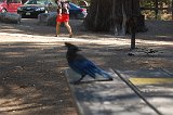 DSC 6789